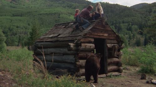 Hollye Holmes, Ham Larsen, Robert Logan, and Bruno The Bear in The Adventures of the Wilderness Family (1975)