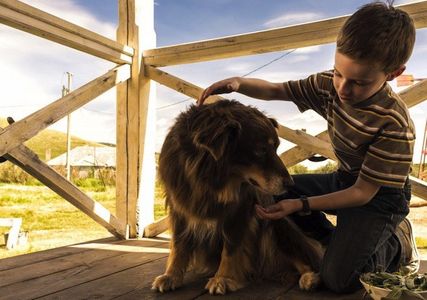 Kyle Catlett in The Young and Prodigious T.S. Spivet (2013)
