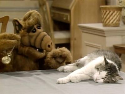Paul Fusco and Lucky in ALF (1986)