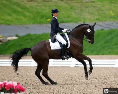 Pan American Games qualifier