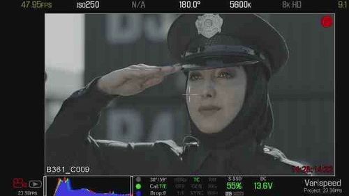 Still of Samira Izadi in S.W.A.T. and Cash Flow