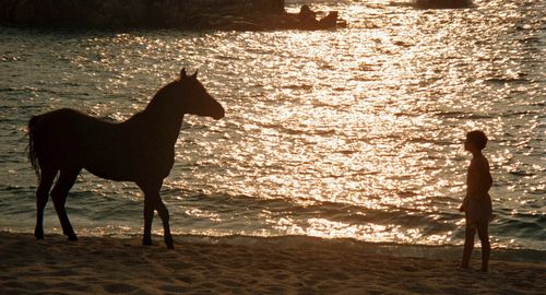 Kelly Reno and Cass-Olé in The Black Stallion (1979)