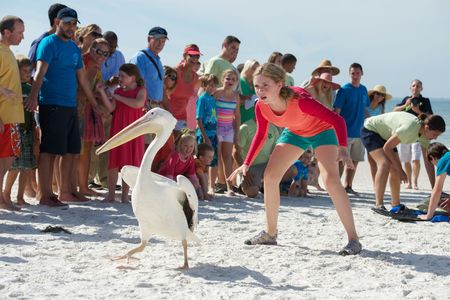 Cozi Zuehlsdorff in Dolphin Tale 2 (2014)