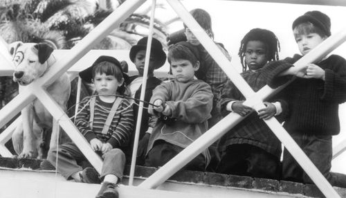 Ross Bagley, Zachary Mabry, Courtland Mead, Petey, Travis Tedford, Jordan Warkol, and Kevin Jamal Woods in The Little Ra