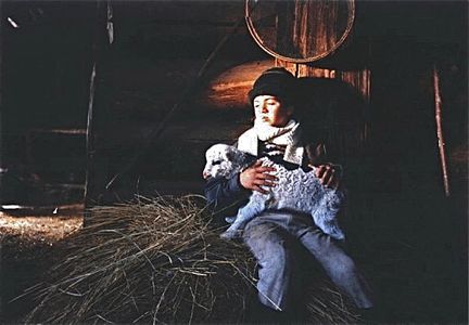 Mahmoud Shoolizadeh