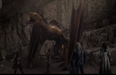 The Witcher S1E6 Rare Species