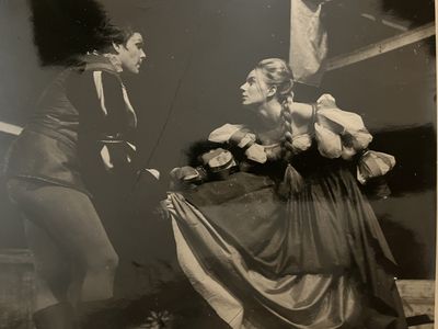 Taming of the shrew