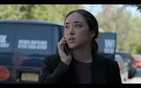 Netflix- Good Sam