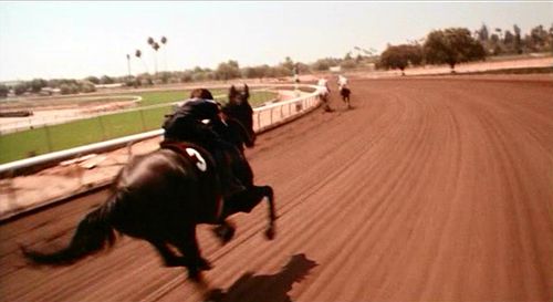Kelly Reno and Cass-Olé in The Black Stallion (1979)