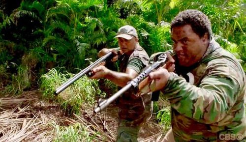 Hawaii Five-0 08x20