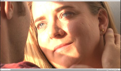 Arizona - Screen Work