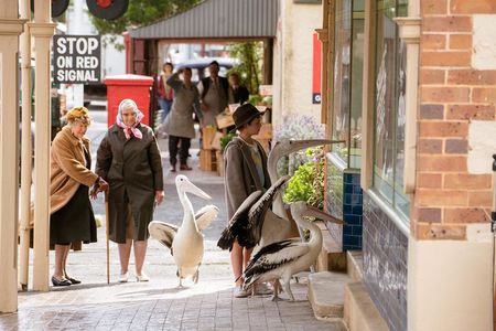 Finn Little in Storm Boy (2019)