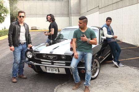 Purasangre