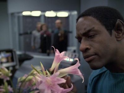 Kate Mulgrew, Robert Picardo, Ethan Phillips, and Tim Russ in Star Trek: Voyager (1995)