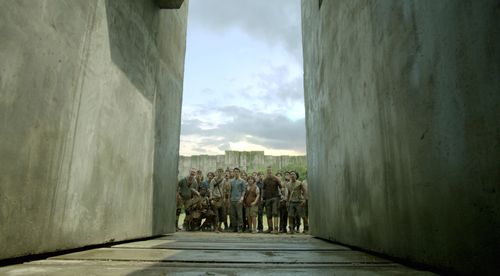 Thomas Brodie-Sangster, Will Poulter, Dylan O'Brien, and Blake Cooper in The Maze Runner (2014)