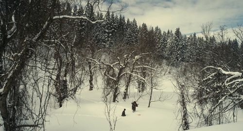 Shinnosuke Mitsushima and Kokone Hamada in Oshin (2013)