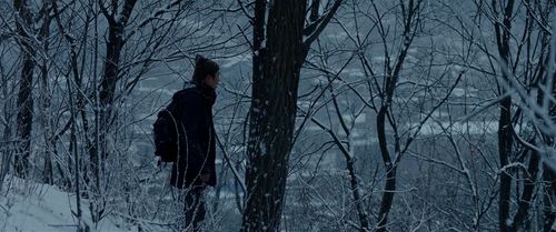 Choi Woo-sik in Parasite (2019)