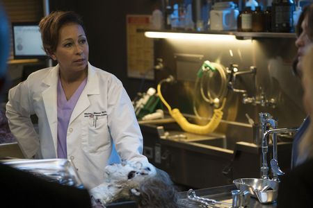 Tamara Tunie in Law & Order: Special Victims Unit (1999)