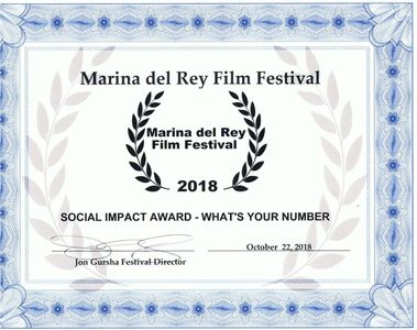 Marina Del Rey Film Festival, social impact award.