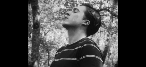 Harry Burke