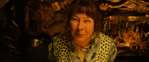 Yolande Moreau in Micmacs (2009)