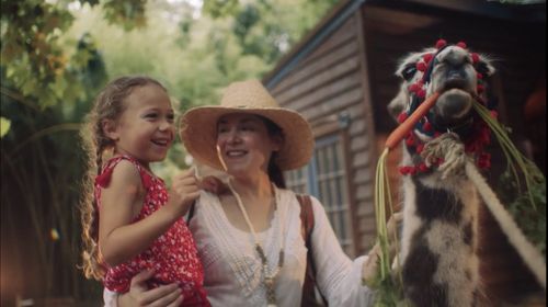Delta Airlines in-flight commercial