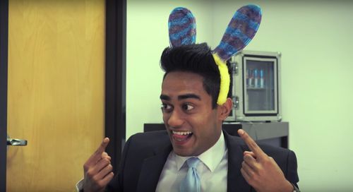 Bunny Business