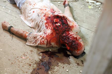 Playing dead