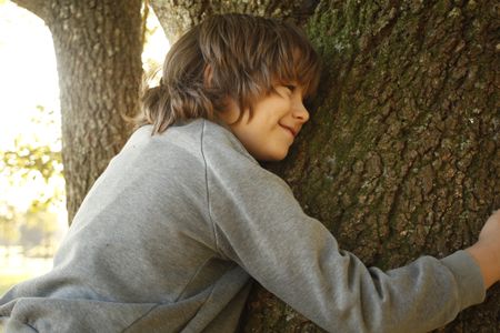 2009 Giving Tree