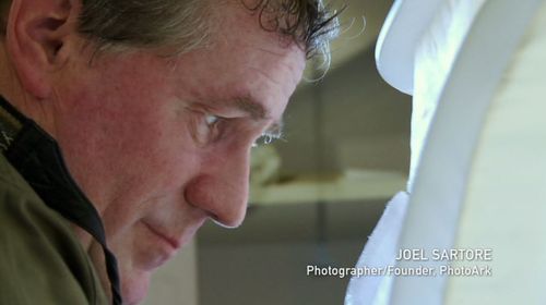 Joel Sartore in Racing Extinction (2015)