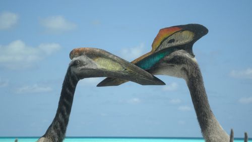 Hatzegopteryx Display from Prehistoric Planet 2 ‘Islands’