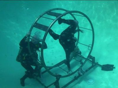 Adam Savage and Jamie Hyneman in MythBusters (2003)