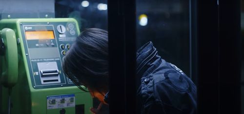 Contact Stills