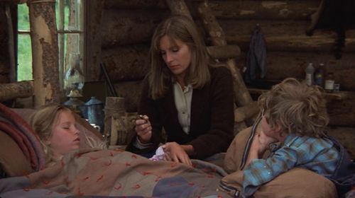 Susan Damante, Hollye Holmes, and Ham Larsen in The Adventures of the Wilderness Family (1975)