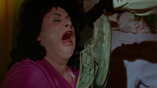 Divine in Polyester (1981)