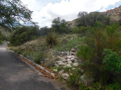 Tucson Mount Lemmon