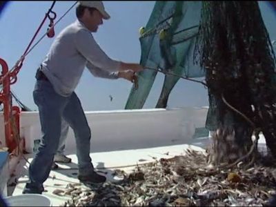 Mike Rowe in Dirty Jobs (2005)