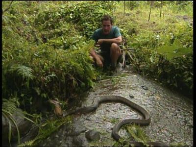 Jeff Corwin in The Jeff Corwin Experience (2001)