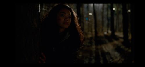 Still as Katja Nilssen in YOUNG WALLANDER KILLER'S SHADOW