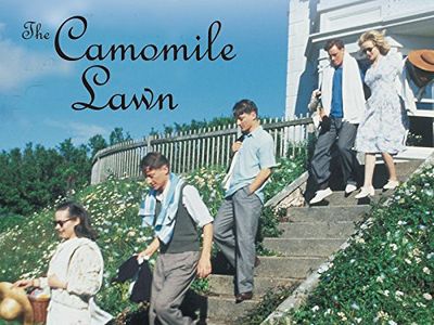 Jennifer Ehle, Tara Fitzgerald, Toby Stephens, Jeremy Brook, and Joss Brook in The Camomile Lawn (1992)