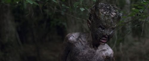 Gill Eeckelaert in Cub (2014)
