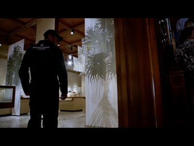 Hawaii Five-0