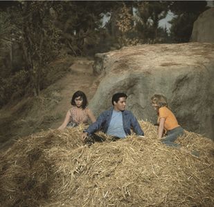 Elvis Presley, Pamela Austin, and Yvonne Craig in Kissin' Cousins (1964)