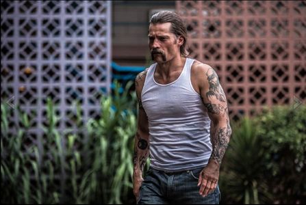 Nikolaj Coster-Waldau as 