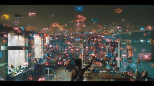 The Feed