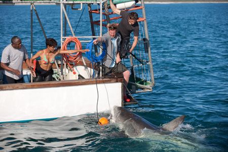 Halle Berry, Olivier Martinez, Sizwe Msutu, and Mark Elderkin in Dark Tide (2012)