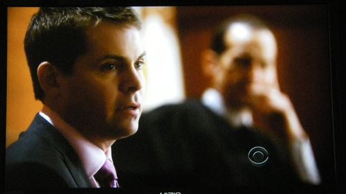 The Good Wife 