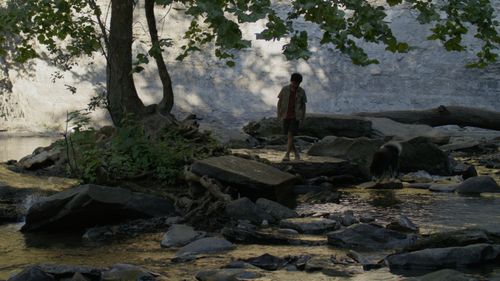 Vanishing Shore