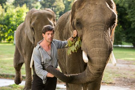 Johan Heldenbergh in The Zookeeper's Wife (2017)