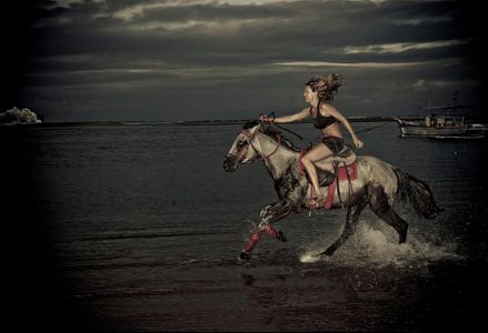 Simone's Wild World 